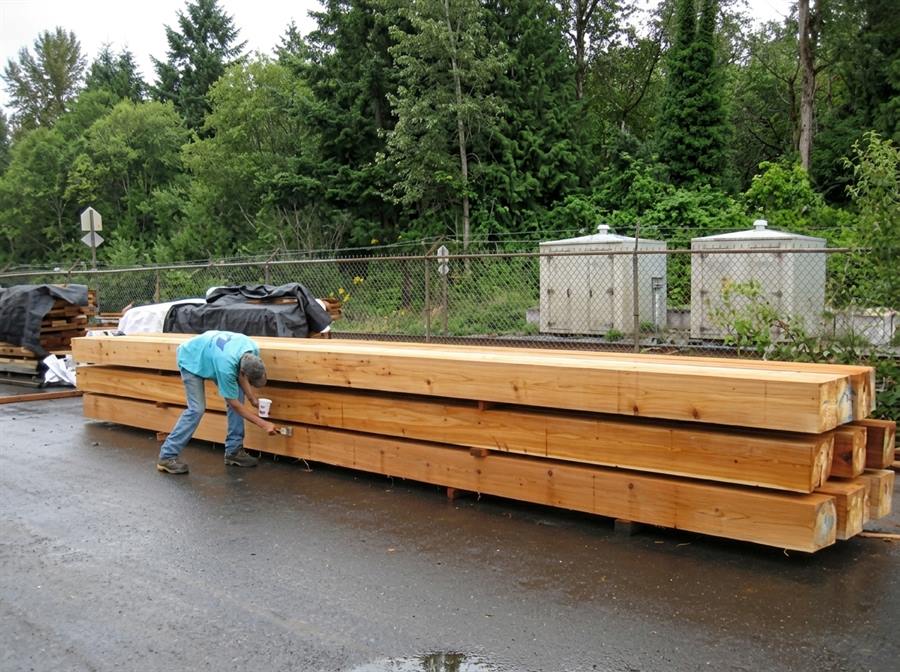 Architectural Douglas Fir Beams